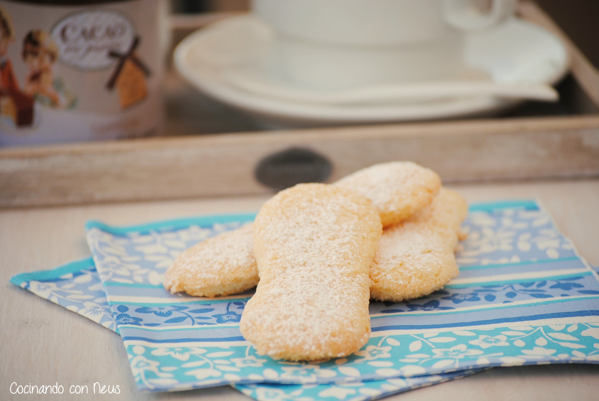 Bizcochos de soletilla con Thermomix